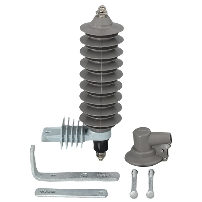 Surge Arrester